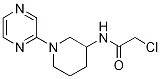 2-氯-n-(1-吡嗪-2-基-哌啶-3-基)-乙酰胺結(jié)構(gòu)式_1065484-53-8結(jié)構(gòu)式