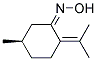 Cyclohexanone, 5-methyl-2-(1-methylethylidene)-, oxime, [r-(z)]-(9ci) Structure,106550-19-0Structure