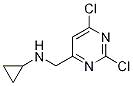 環(huán)丙基-(2,6-二氯-嘧啶-4-甲基)-胺結(jié)構(gòu)式_1289387-98-9結(jié)構(gòu)式