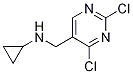 環(huán)丙基-(2,4-二氯-嘧啶 -5-甲基)-胺結(jié)構(gòu)式_1289388-21-1結(jié)構(gòu)式