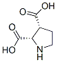 2,3-Pyrrolidinedicarboxylicacid,(2s,3r)-(9ci) Structure,147332-09-0Structure