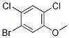 1-Bromo-2,4-dichloro-5-methoxybenzeneStructure,174913-22-5Structure 1-Bromo-2,4-dichloro-5-methoxybenzene Structure,174913-22-5Structure