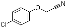 4-氯苯氧基乙腈結(jié)構(gòu)式_3598-13-8結(jié)構(gòu)式