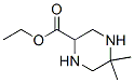 2-Piperazinecarboxylicacid,5,5-dimethyl-,ethylester(9ci) Structure,363192-02-3Structure