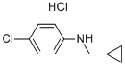 (4-氯苯基)-環(huán)丙基甲胺鹽酸鹽結(jié)構(gòu)式_69565-54-4結(jié)構(gòu)式