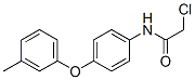 2-氯-N-[4-(3-甲基苯氧基)苯基]乙酰胺結(jié)構(gòu)式_69838-52-4結(jié)構(gòu)式