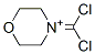 (9CI)-4-(二氯)-嗎啉結(jié)構(gòu)式_790600-30-5結(jié)構(gòu)式