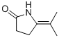 2-Pyrrolidinone,5-(1-methylethylidene)-(9ci) Structure,81659-63-4Structure