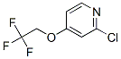 2-氯-4-(2,2,2-三氟乙氧基)-吡啶結(jié)構(gòu)式_885277-01-0結(jié)構(gòu)式