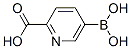 6-羧基吡啶-3-硼酸結(jié)構(gòu)式_913836-11-0結(jié)構(gòu)式