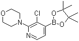 3-氯-2-(4-嗎啉)吡啶-4-硼酸頻那醇酯結構式_957198-28-6結構式