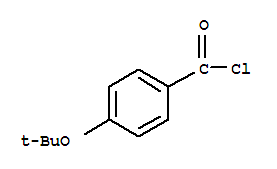 Benzoyl chloride, 4-(1,1-dimethylethoxy)-(9ci) Structure,263841-86-7Structure