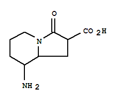 2-Indolizinecarboxylicacid,8-aminooctahydro-3-oxo-(9ci) Structure,349101-84-4Structure