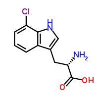 7-氯-l-色氨酸結(jié)構(gòu)式_73945-46-7結(jié)構(gòu)式