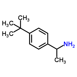 1-(4-叔丁基苯基)乙胺結(jié)構式_89538-65-8結(jié)構式